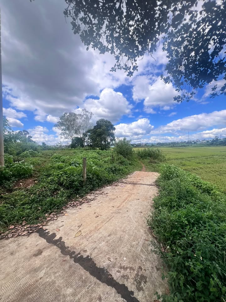 Đất hẻm đường Lữ Gia, Phường Thống Nhất, 163m² giá 1.05 tỷ - Cơ hội đầu tư tuyệt vời!