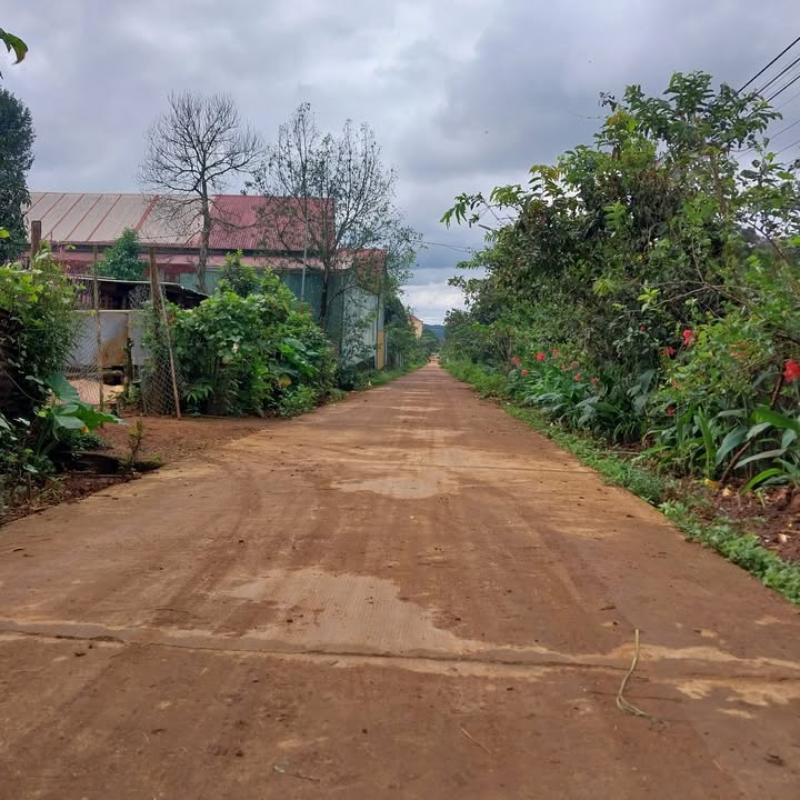 Đất nền Gào, Pleiku 135m² giá chỉ 500 triệu - Sổ đỏ chính chủ, đầu tư sinh lời!