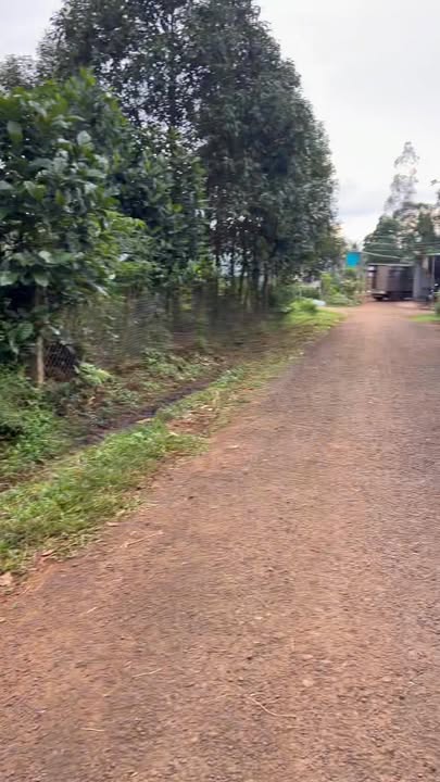 Đất nền Hẻm Biệt Thự Trắng - Đường Tô Hiệu, 122m² chỉ 600 triệu - Vị trí lý tưởng cho đầu tư!