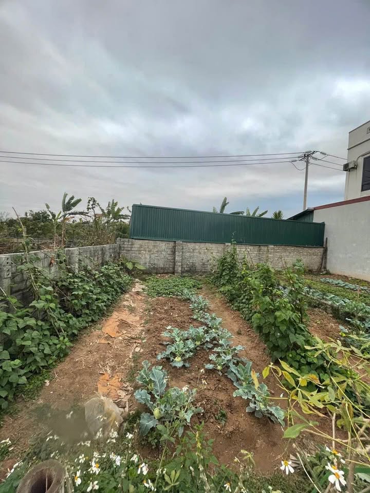 Đất nền Vườn Đìa Phúc Hòa 58m² giá 2.324 tỷ - Vị trí đắc địa, sổ đỏ chính chủ!