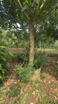 Đất nền Bảo Quang, Long Khánh 13.539m² giá 6.5 tỷ - Cơ hội đầu tư lý tưởng!