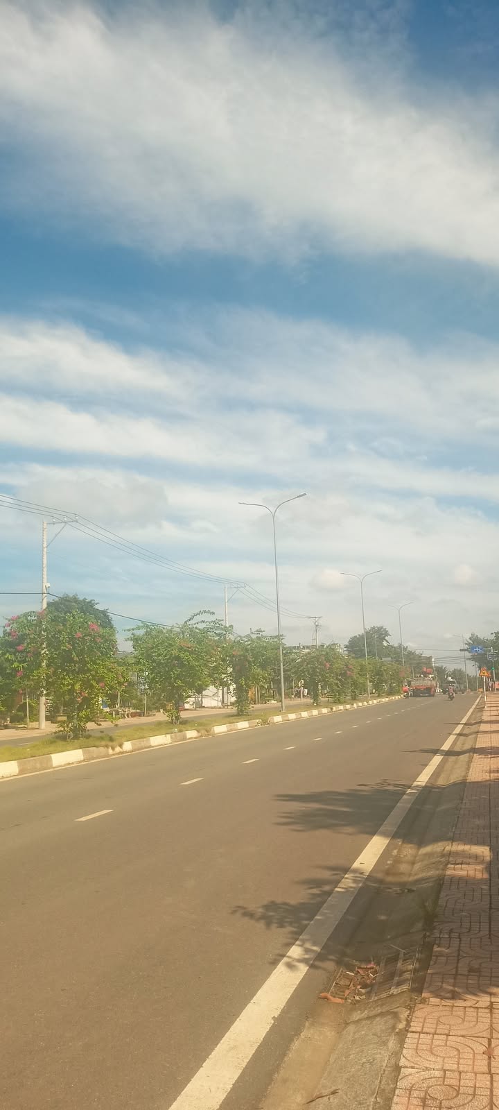 Đất nền Tân Bình Đồng Xoài 1500m² giá 4 tỷ - Đầu tư sinh lời ngay!