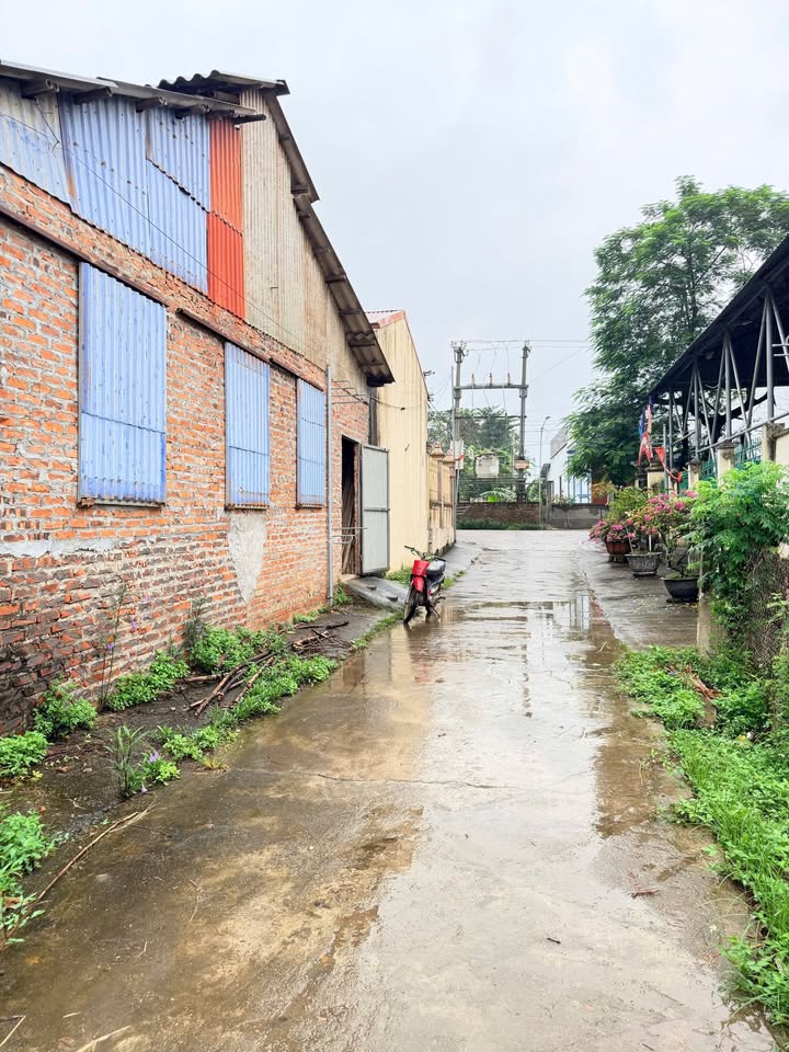 Đất thổ cư 200m² xã Tu Vũ giá chỉ 1 tỷ - Sổ hồng chính chủ