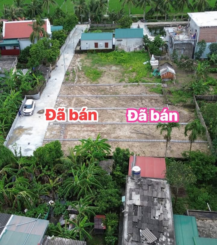 Đất nền chính chủ 150m² xã Quang Trung Tứ Kỳ chỉ 600 triệu - Sổ đỏ rõ ràng!