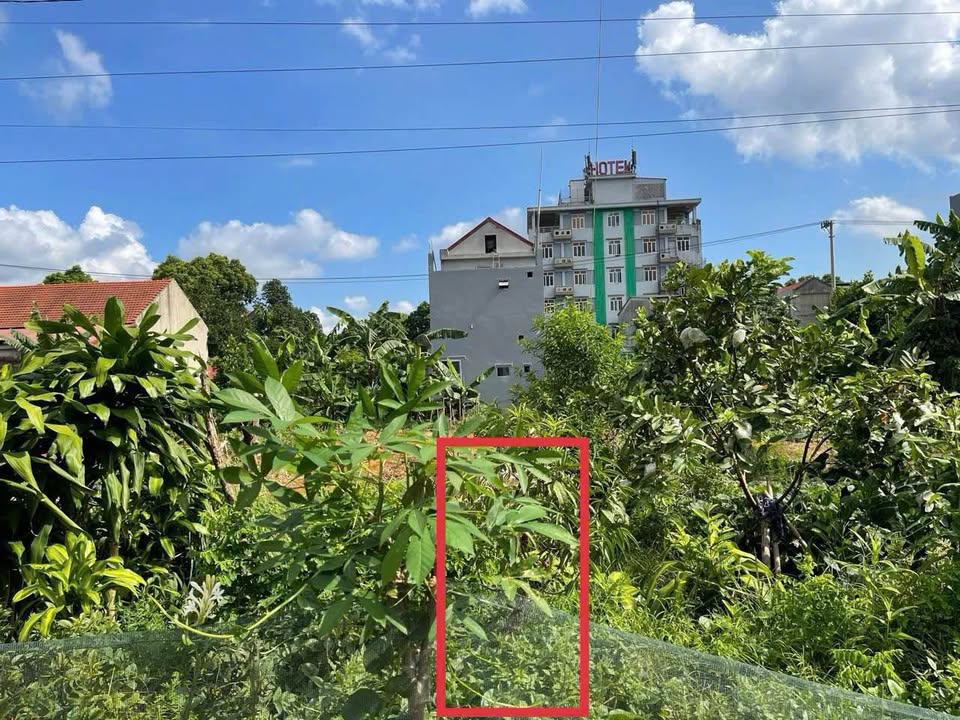 Đất nền Tây Sơn, Tam Điệp 100m² giá chỉ 2 tỷ - Cơ hội đầu tư tốt!