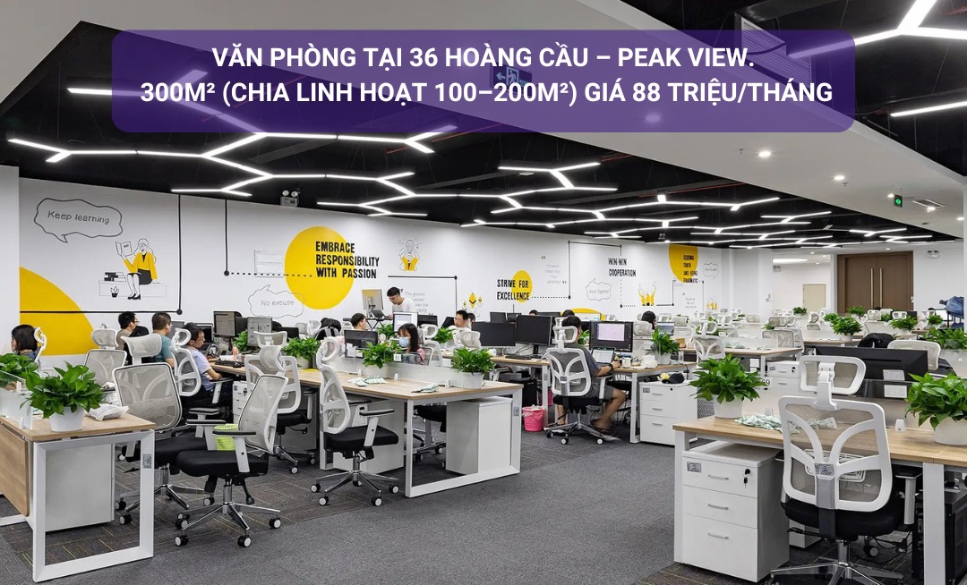 Văn phòng cho thuê tại Peak View 36 Hoàng Cầu 300m² giá 88 triệu - Không gian làm việc lý tưởng!