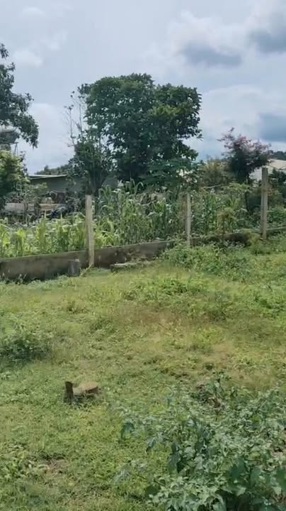 Đất nền Hiệp Thạnh Đức Trọng 207m² giá 1.6 tỷ - Đầu tư sinh lời ngay!