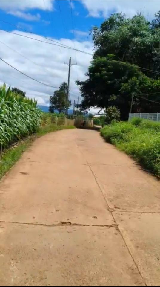 Đất nền mặt tiền đường bê tông Tân Hội, 3600m² chỉ 850 triệu - Cơ hội đầu tư hấp dẫn!