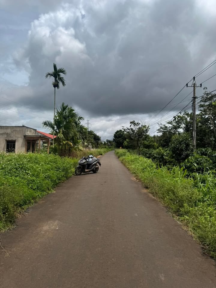 Đất nền thổ cư 175m² thôn 4, xã Ea Ngai, giá 450 triệu - Cơ hội đầu tư hấp dẫn!