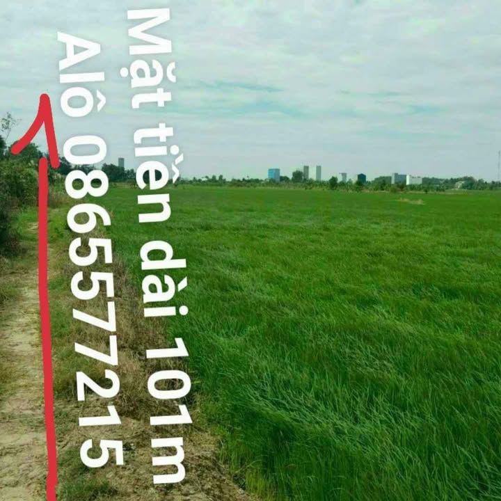 Đất ruộng 4000m² tại phường Vĩnh Quang, Rạch Giá - Giá thương lượng tốt!