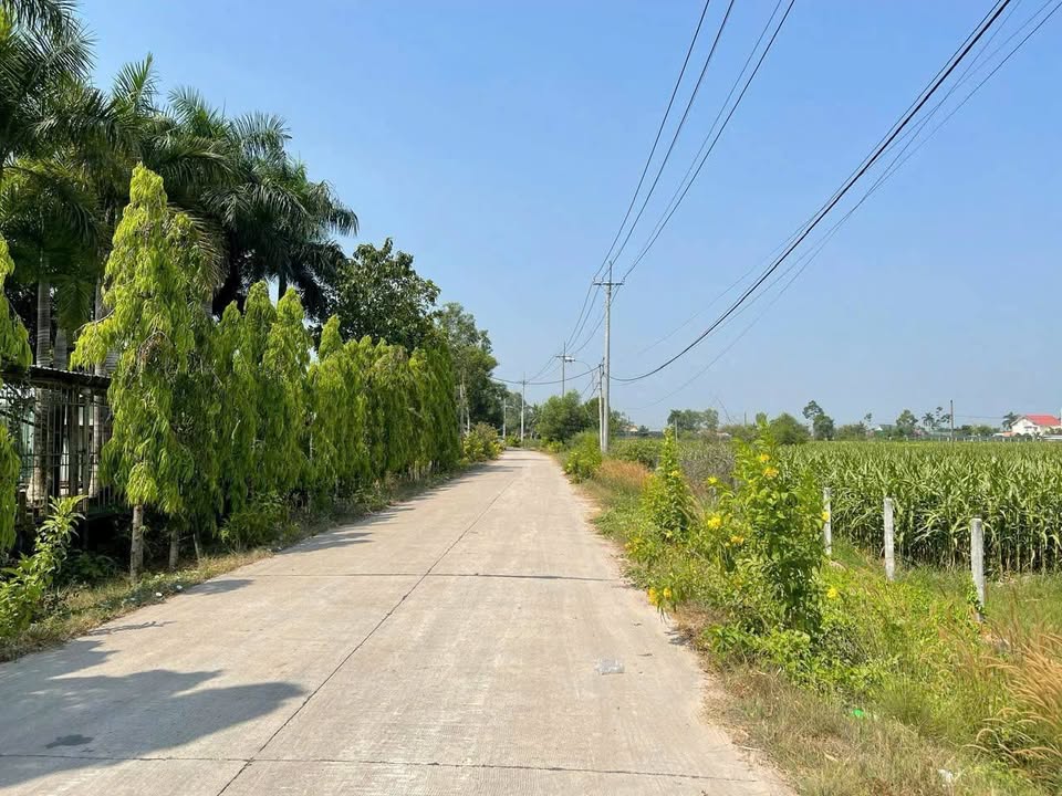 Đất vườn Thái Mỹ Củ Chi 3180m² giá 6 tỷ - Không khí trong lành, lý tưởng nghỉ dưỡng!