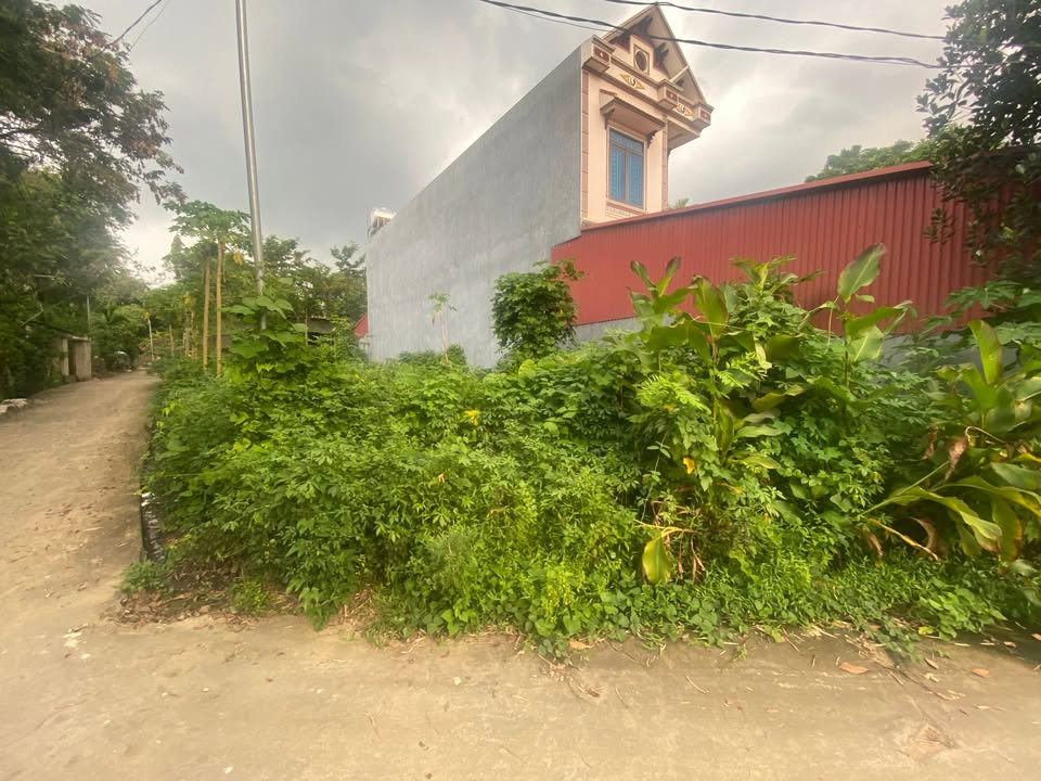 Đất thổ cư Phượng Lâu 79m² giá 1.3 tỷ - View hồ thoáng mát!