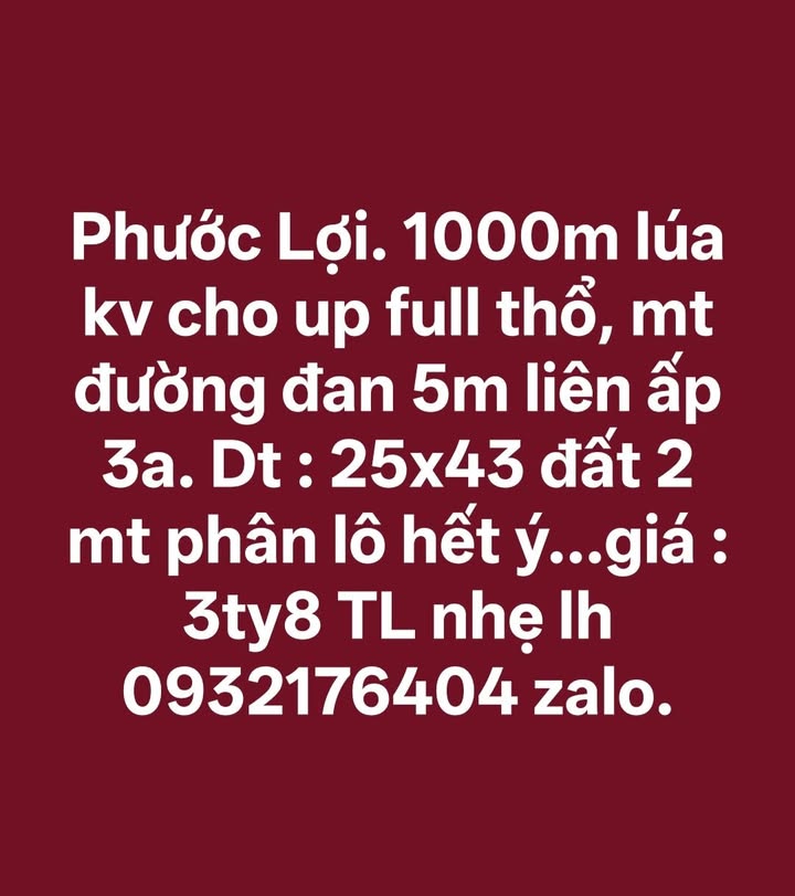 Đất nền Phước Lợi, Cần Giuộc 1075m² giá 3.8 tỷ - Phân lô tuyệt đẹp!