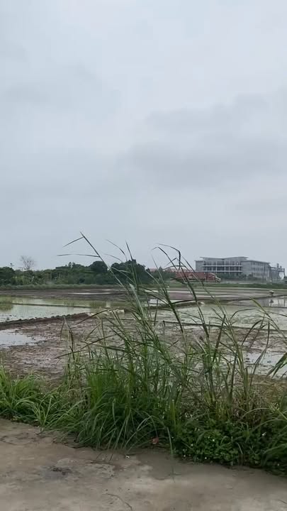 Đất nền Phương Chiểu Hưng Yên 97m² giá 3 tỷ - Hướng Tây, view thoáng