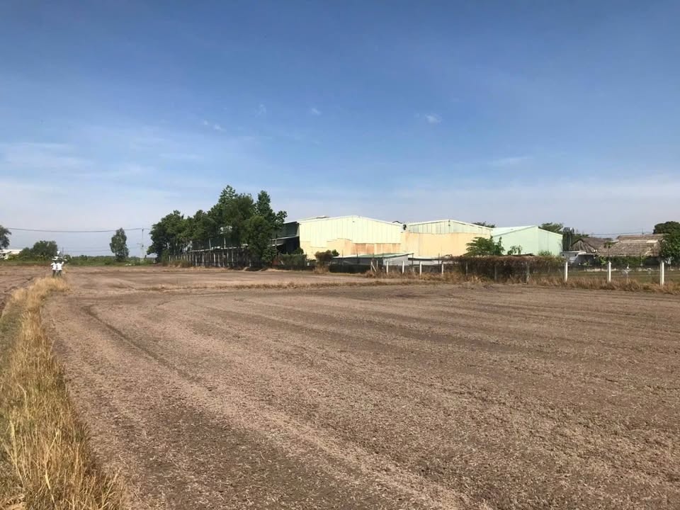 Đất nông nghiệp 12.000m² tại xã Trung Lập Thượng, Củ Chi giá 16.8 tỷ - Cơ hội đầu tư tiềm năng!