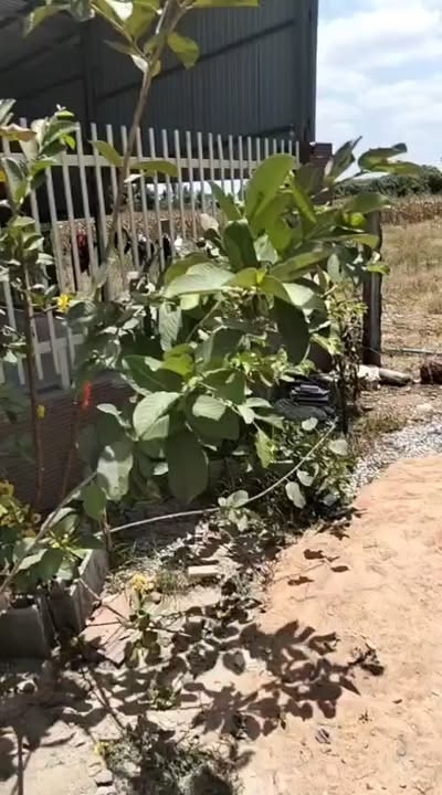 Nhà riêng Suối Cát, Xuân Lộc 110m² giá chỉ 5 tỷ - Thiết kế đẹp như biệt thự!