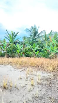 Đất nền nghỉ dưỡng Long Tuyền 380m² giá 695 triệu - Cơ hội đầu tư hấp dẫn!