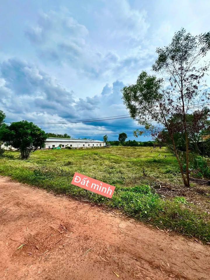 Đất nền Đôn Thuận Trảng Bàng 170m² giá 599 triệu - Sổ đỏ chính chủ, khu vực đông dân cư!