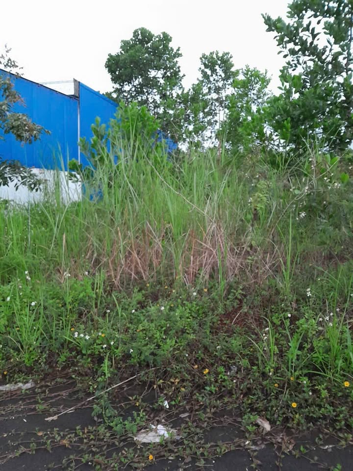 Đất nền Gia Nghĩa Đắk Nông 240m² - Giá thỏa thuận, cơ hội đầu tư tuyệt vời!