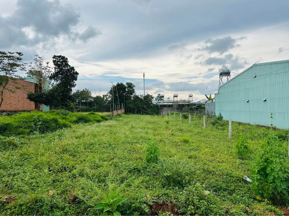 Đất thổ cư hẻm chính Phan Đình Phùng 529m² giá 2 tỷ - Cơ hội đầu tư tuyệt vời!