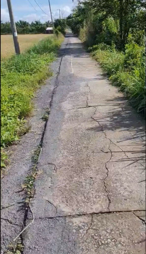 Đất nền Phú Hòa, An Giang 2000m² giá 1 tỷ - Mặt tiền rộng 70m, sẵn sàng xây dựng!