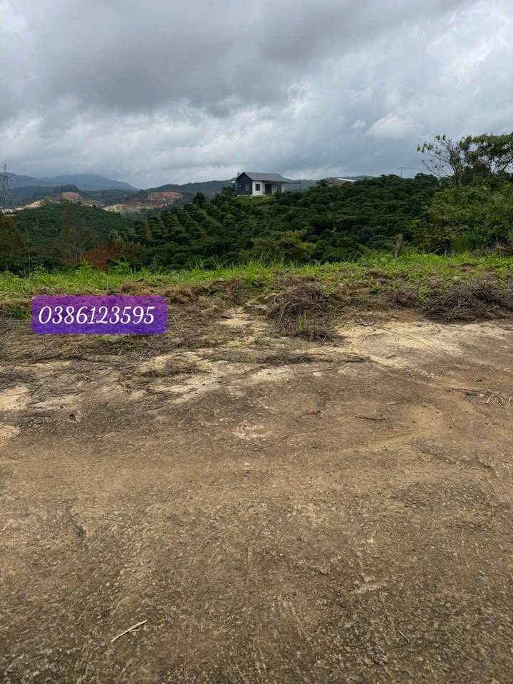 Đất nền Lộc Châu Bảo Lộc 630m² giá 1.15 tỷ - Cơ hội đầu tư tuyệt vời!