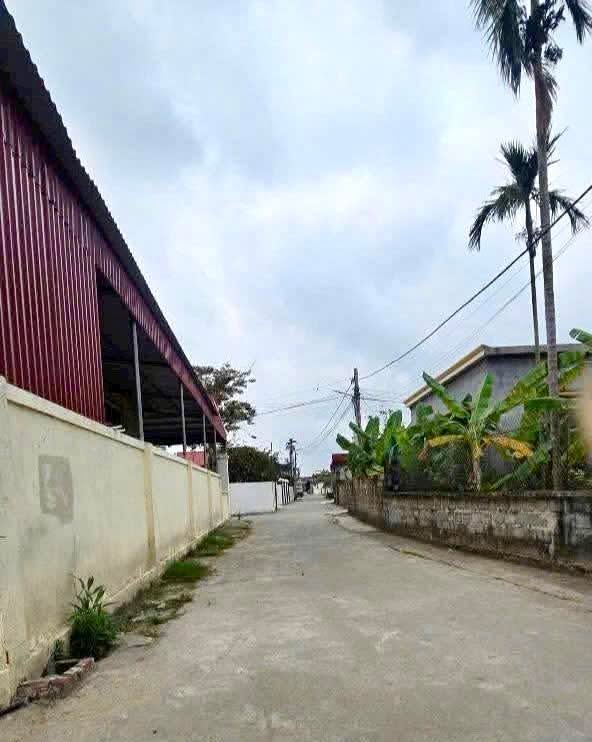 Bán đất thổ cư tại thôn Cốc Liễn, xã Kiến Minh, 84m² chỉ 800 triệu - Đầu tư sinh lời cao!