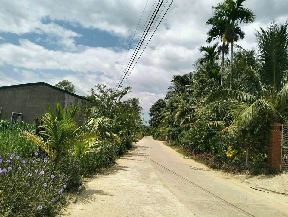 Đất liền kề Định Công, Hoài Mỹ 150m² giá 300 triệu - Cơ hội đầu tư tuyệt vời!