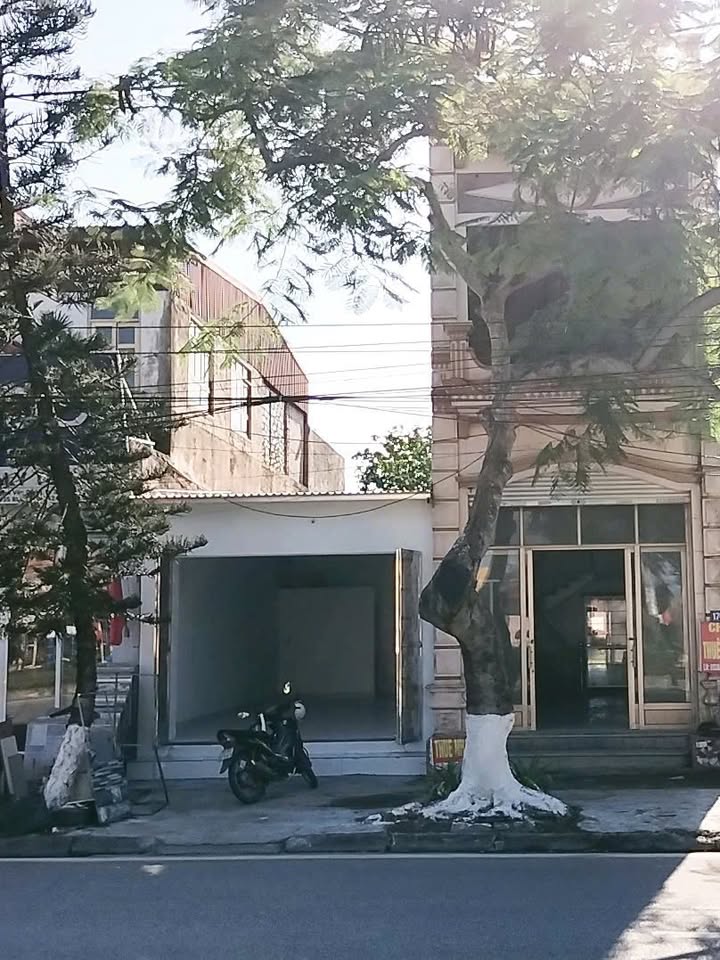 Nhà cho thuê Đồ Sơn, Hải Phòng diện tích 140m² - Đầu tư sinh lời ngay!