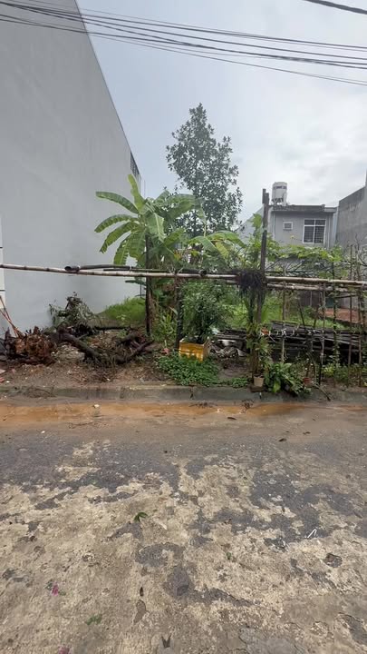 Đất nền Đồi Vũ, Thanh Miếu, Việt Trì 90m² giá 4 tỷ - Cần bán gấp!