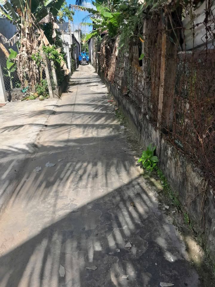 Đất nền Phú Tân Châu Thành 105m² giá 250 triệu - Sổ hồng chính chủ, đầu tư sinh lời!