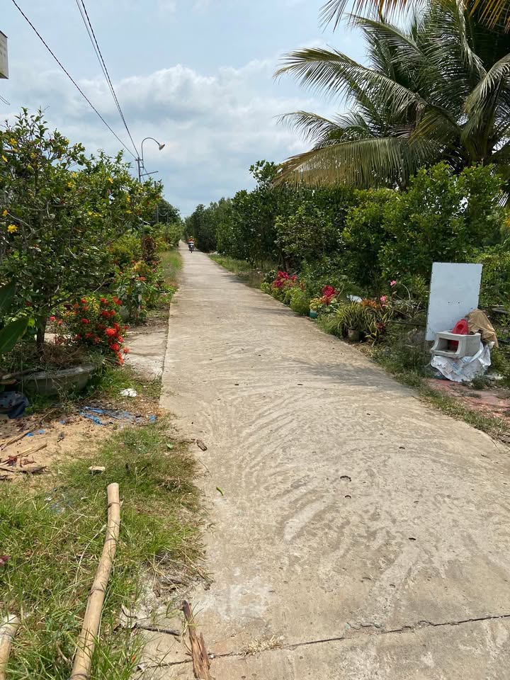 Đất nền 200m² tại Xóm Than, Tân Bình, Tân Thạnh - Cơ hội đầu tư hấp dẫn chỉ với 350 triệu