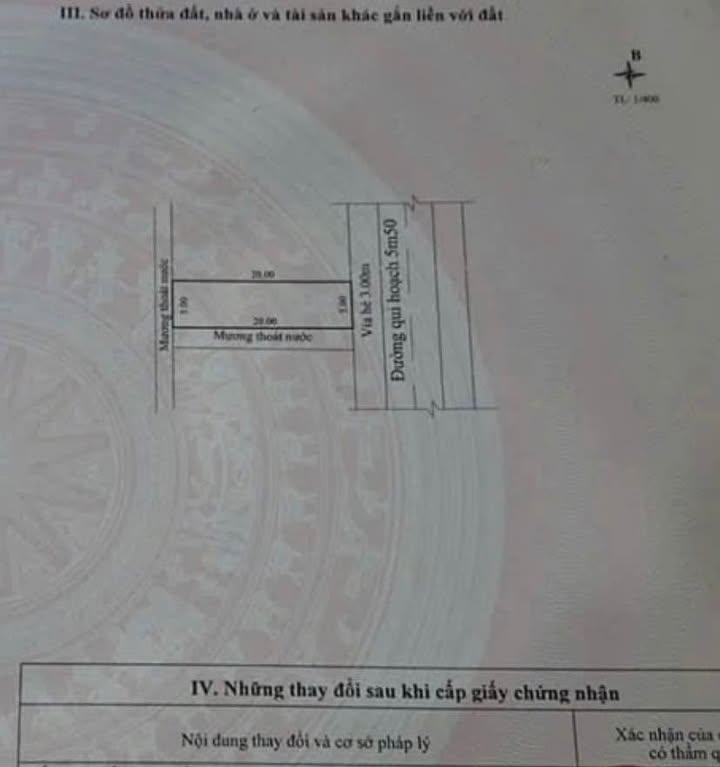 Đất nền ven biển Đà Nẵng 100m² giá 4.9 tỷ - Vị trí đắc địa, tiềm năng sinh lời cao!