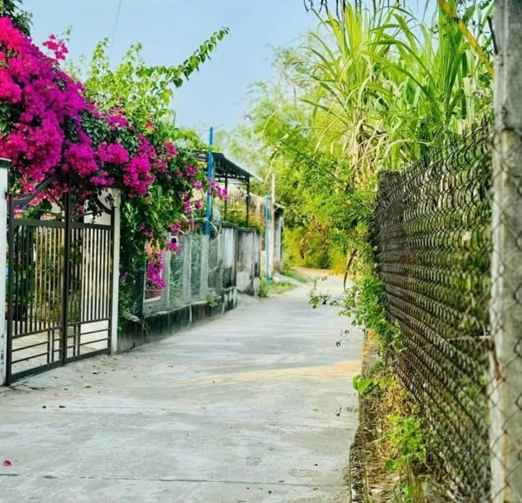 Đất nền Tam Thăng 400m² giá chỉ 200 triệu - Cơ hội đầu tư sinh lời!