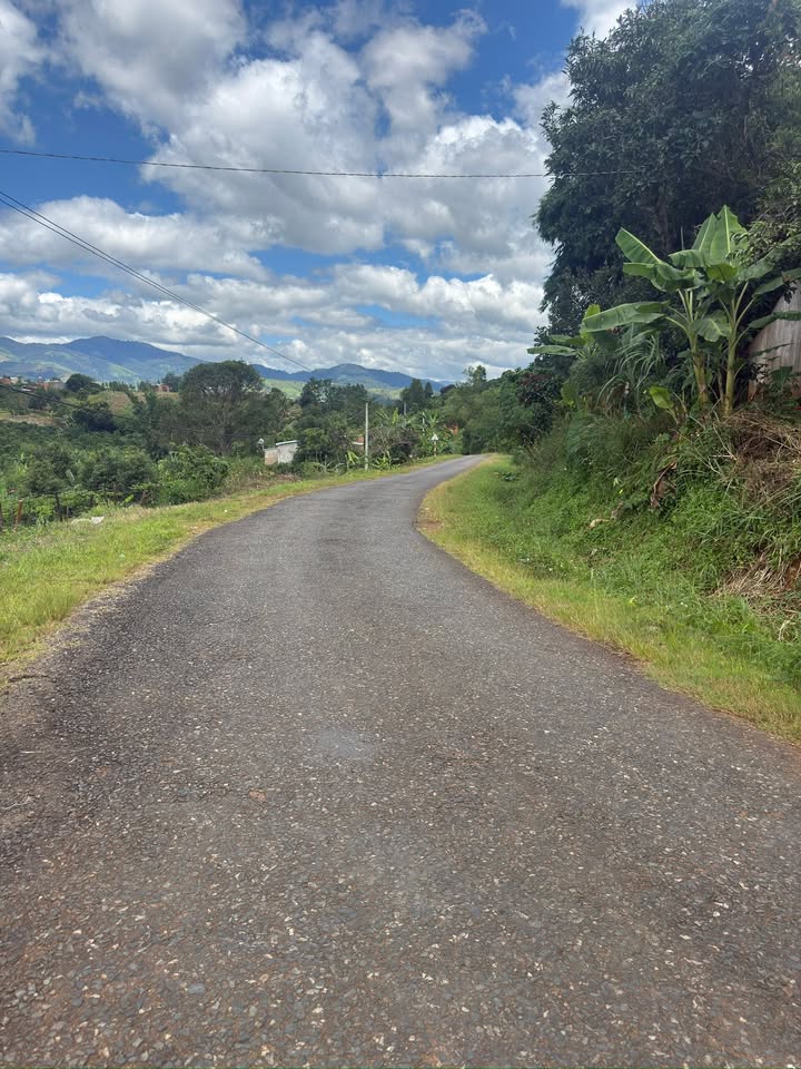 Đất nông nghiệp Đắk Long, Đắk Hà 52.000m² - Thích hợp làm nhà vườn!