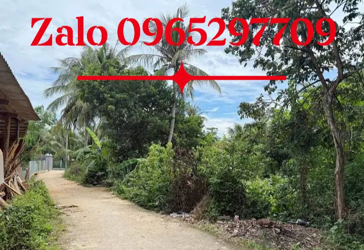 Đất thổ cư 400m² tại Mỹ Hội 2, Phù Mỹ - Lô góc 3 mặt tiền giá chỉ 300 triệu!