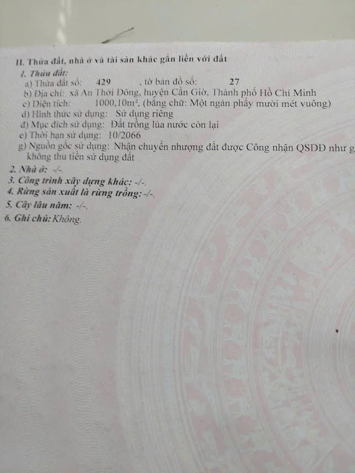 Đất nền An Thới Đông 1000m² giá chỉ 1.5 tỷ - Cơ hội đầu tư tuyệt vời!