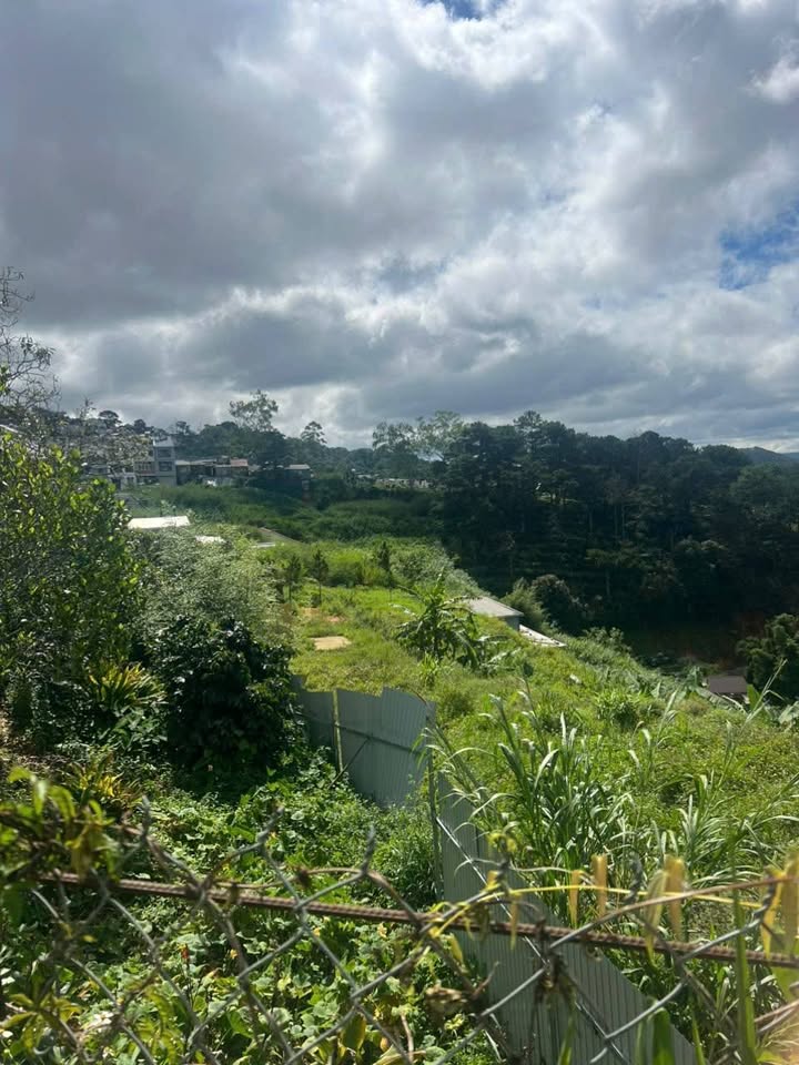 Đất nền 300m² hẻm 65, phường 4, Đà Lạt - Giá 1.8 tỷ, đầu tư sinh lời!