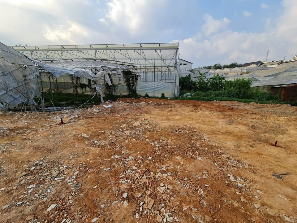 Đất nông nghiệp Đà Lạt 62m² giá 650 triệu - Cơ hội đầu tư tuyệt vời!