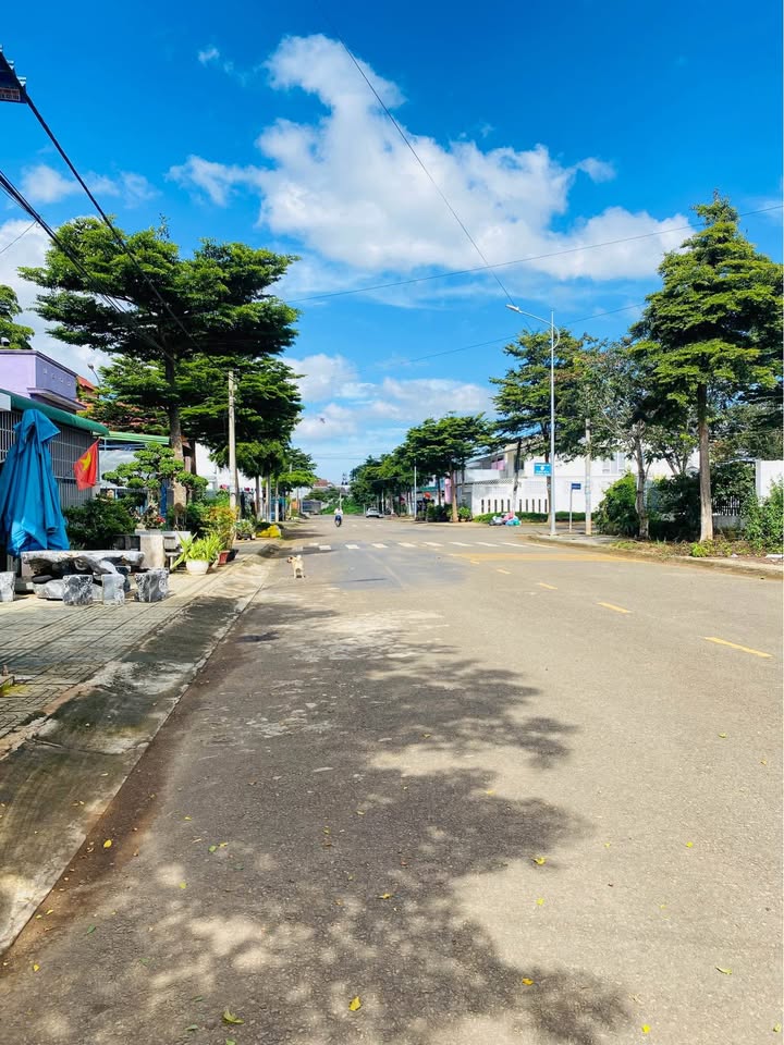 Nhà lô 90 Đường 12 Đà Lạt 175m² giá 5.9 tỷ - Đầy đủ thổ cư, sẵn sàng ở ngay!