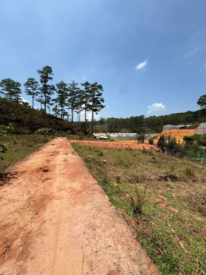 Đất nền Đà Lạt 80m² giá 390 triệu - Bán gấp trong tuần!