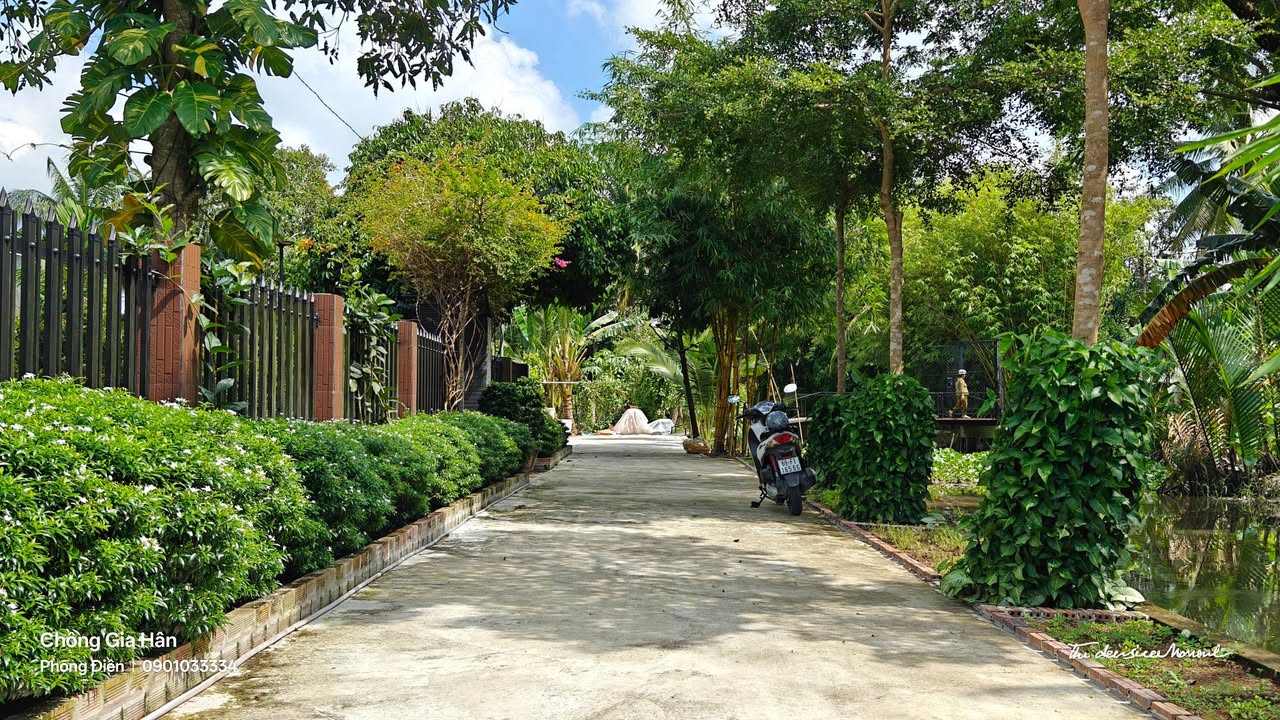 Đất Farm 1452m² An Bình Cần Thơ giá 5 tỷ - Cơ hội đầu tư tuyệt vời!