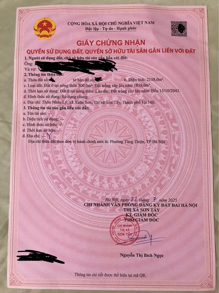 Đất ở đô thị phường Tùng Thiện, Sơn Tây 2158m² giá chỉ 4,2 triệu/m² - Cơ hội đầu tư hấp dẫn!