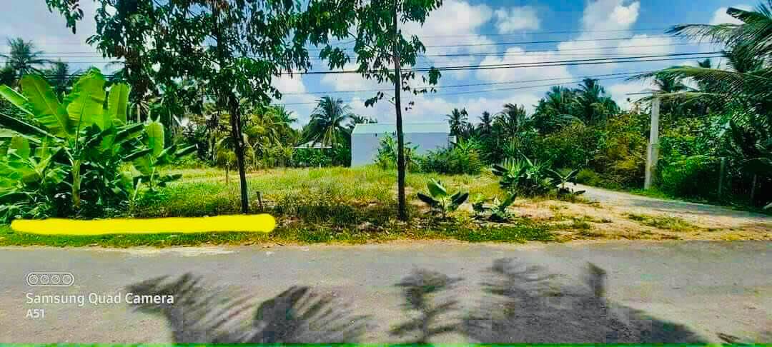 Đất thổ cư 148m² Nhơn Thạnh Bến Tre giá 490 triệu - Cơ hội đầu tư hấp dẫn!