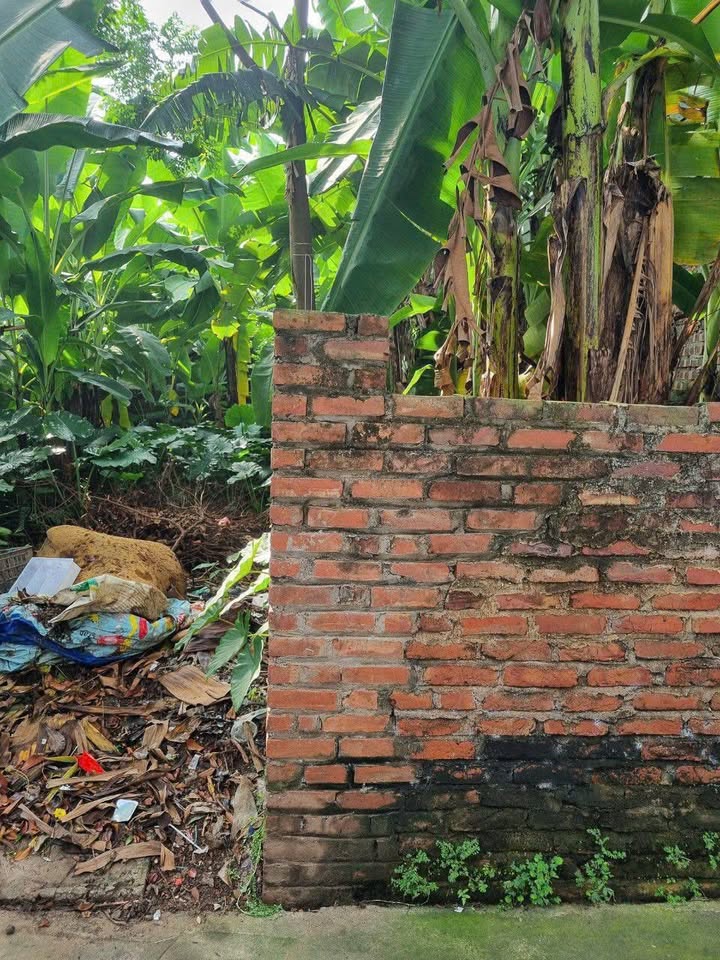 Đất 50m² Kim Sơn, Gia Lâm - Ô tô vào tận nơi chỉ 3 tỷ!