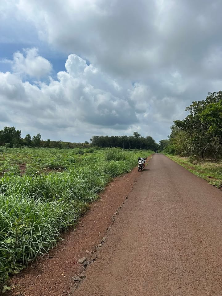 Đất nền 5,7ha mặt đường Quốc lộ 13, Đồng Xoài - Thích hợp làm kho xưởng!