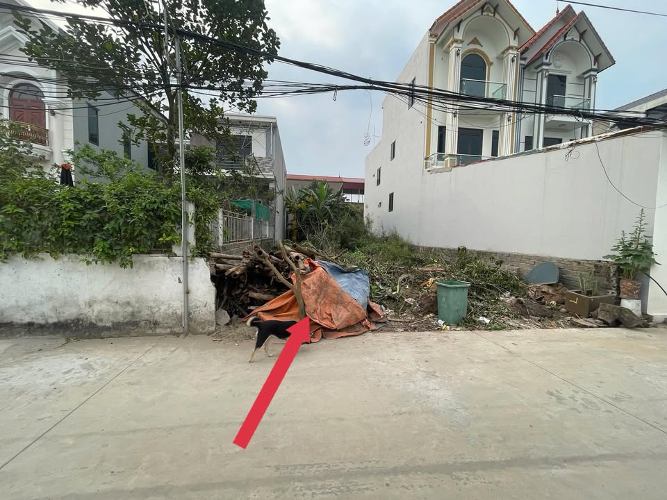 Đất nền thôn Cơ Giáo, xã Hồng Vân, 100m² - Đường vào rộng, giá thỏa thuận!