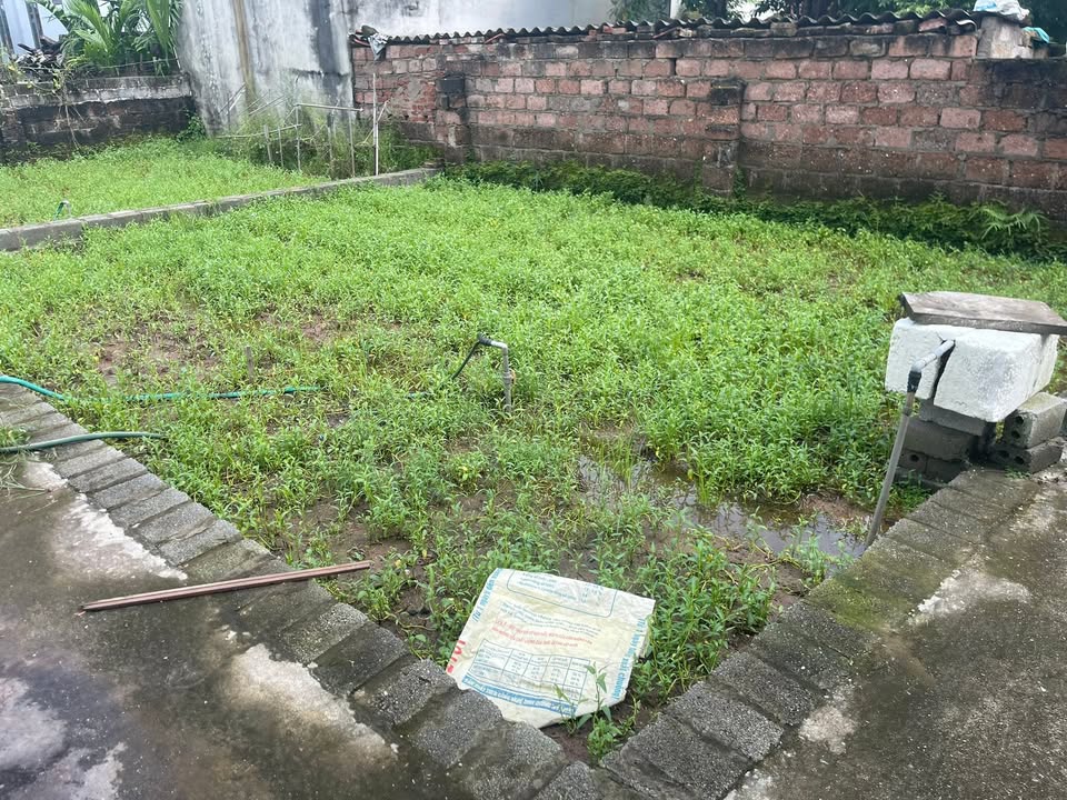 Đất nền Thư Phú, Thường Tín 50m² giá 1.9 tỷ - Cơ hội hiếm có không thể bỏ lỡ!