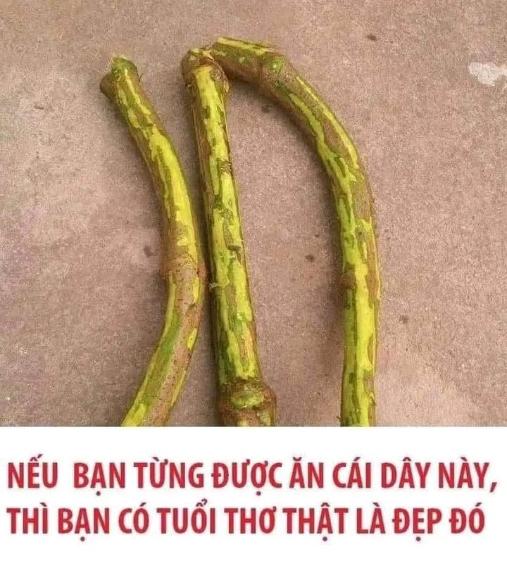 Cho thuê nhà xưởng Duy Tiên, Hà Nam - Diện tích lớn, giá thỏa thuận!