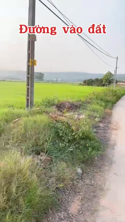 Đất nền Lê Lợi 1500m² giá 1 tỷ - Cơ hội đầu tư sinh lời!